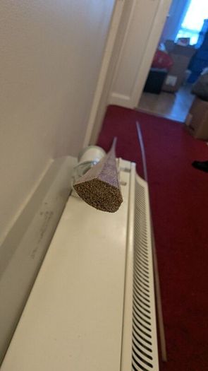 Beading, trim, scotia(?)