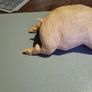 Pig ornament Image 3