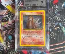 Entei Nr 6 Bgs 9
