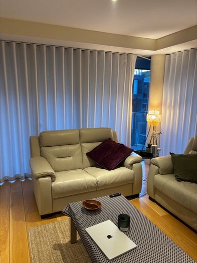 Leather reclinable couch