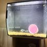 fish tank 54 litre Image 2