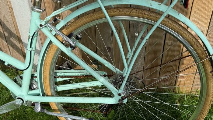 Ladies Pendleton Bike