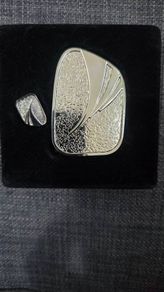 Gaisce the President's award