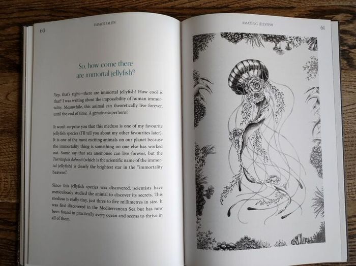 Amazing Jellyfish: Mysterious Dweller of the Deep by Michael Stavaric, Age 9+