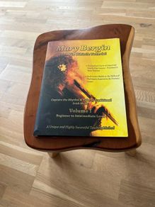 Mary Bergin Tin Whistle Tutorial book