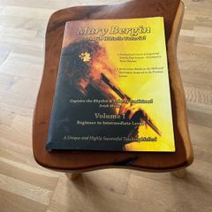 Mary Bergin Tin Whistle Tutorial book