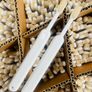 200 Sets - Kids Bamboo Toothbrush Sets - Rrp 6.99 Each! Image 6
