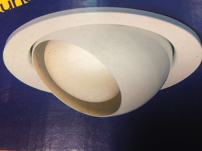 R80 Eyeball Downlighter