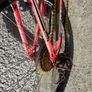 bike Image 2