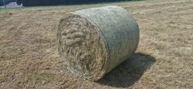 Hay