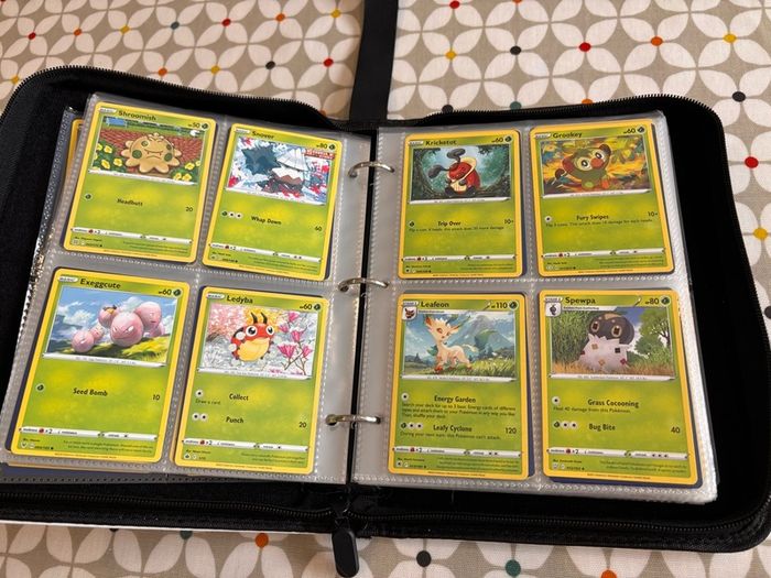 Pokemon folder and cards