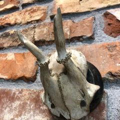 vintage skull