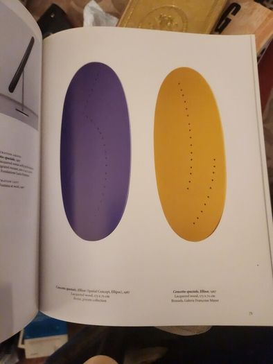 Fontana. Lucio Fontana Basic Art By Barbara  Hess. First Edition  Paperback In Good Condition.37.