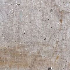 Wood  Free