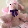 Soft Pink Poodle Image 2
