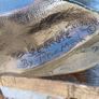 Vintage Peter Mook Sculpture Image 6