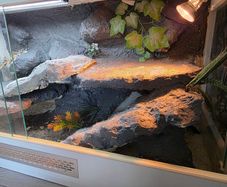 reptile tank