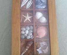 shadow box a collection of shells