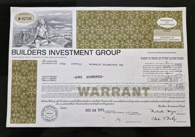 Builders Investment Group 100 Shares 1971