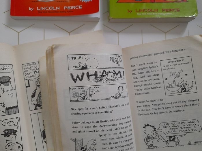 Big Nate goes bananas. Big Nate the crowdgoes wild. Big Nate here goes nothing. Big Nate the boy with the biggest head.