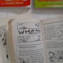 Big Nate goes bananas. Big Nate the crowdgoes wild. Big Nate here goes nothing. Big Nate the boy with the biggest head. Image 5