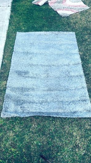 Carpet