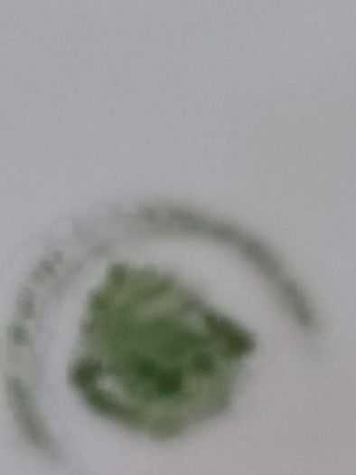 Tara Irish Vase