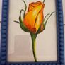 Original watercolour painting - 10 euros each Image 4