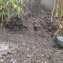 garden soil Image 3