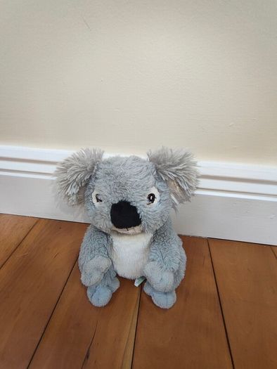 Teddies