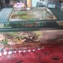 Corn Snake Medium Exoterra starter kit Image 4