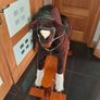 Rocking Horse Image 2
