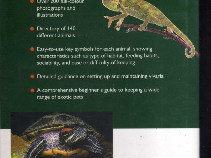 The Reptile Survival Manual - A Comprehensive Guide To Keeping Reptiles, Amphibians, Insects And Arachnids.