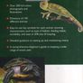 The Reptile Survival Manual - A Comprehensive Guide To Keeping Reptiles, Amphibians, Insects And Arachnids. Image 2