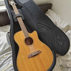 Acoustic guitar with pick up