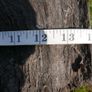 Antique Bog Oak - Garden Decoration Image 5