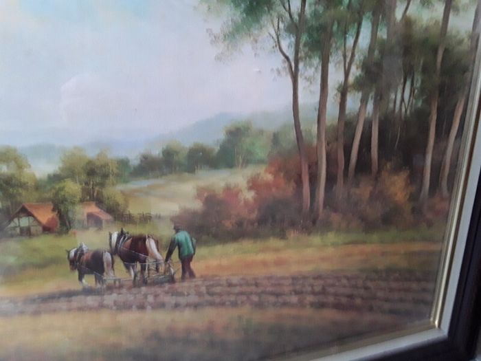 large picture