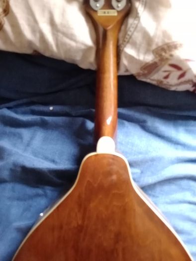 Palmer mandolin P3W  late 70s r early 80s and gigbag