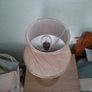 2 Matching Bedside Lamps Image 6