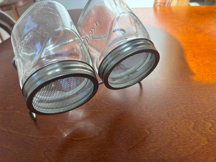 Eschenfelder sprouting jars