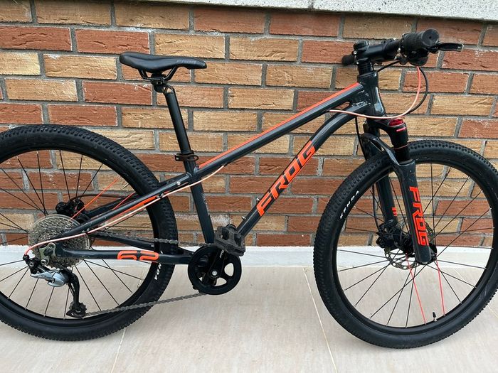 Frog Mountain Bike