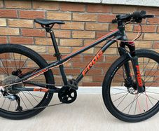 Frog Mountain Bike