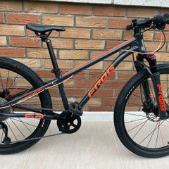 Frog Mountain Bike