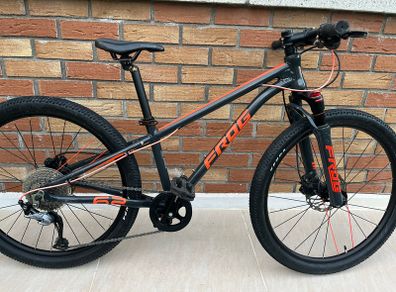 Frog Mountain Bike