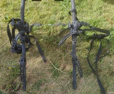 Bike Rack