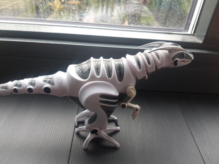 Robo Dinosaur white and grey@"