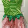 Fairy Costume Image 5