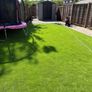 Artifical grass Image 2