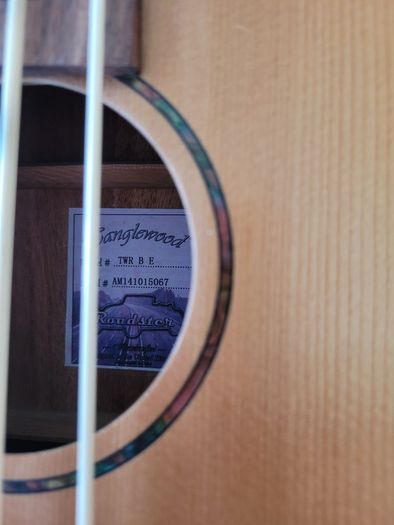 Fender Bass Guitar