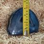 Polished blue agate geode slice. Image 4